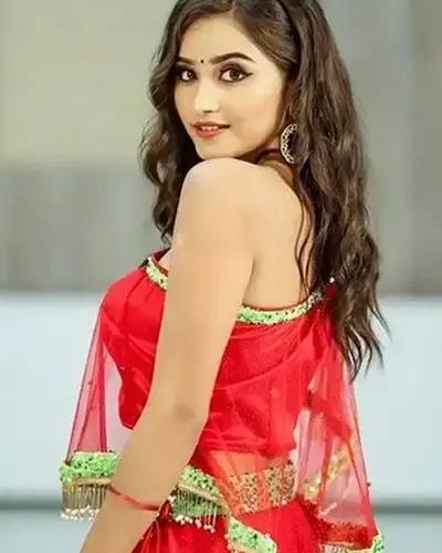 Escort In Sunder Nagar